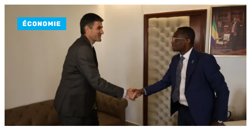 coopération Economique: le Gabon explore des partenariats avec la Russie. 